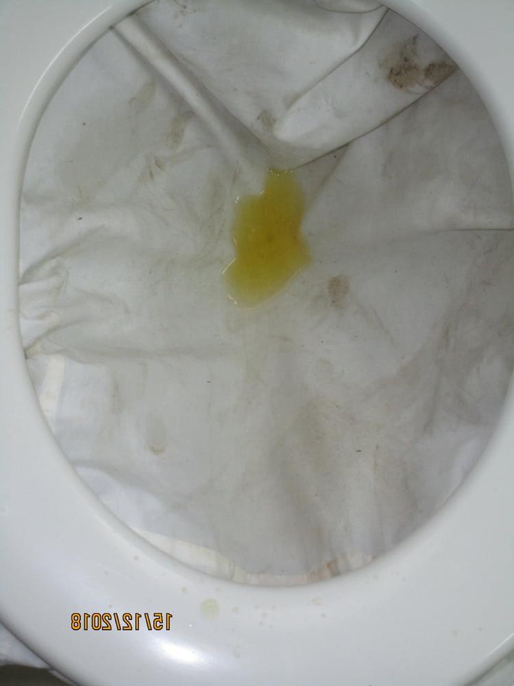 12P white blouse piss 7