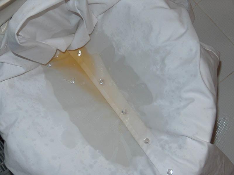 25P white blouse piss 2