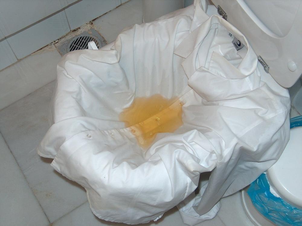 25P white blouse piss 2