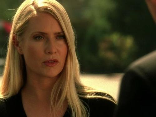 25P Celebrity Hot 250 - #176 Emily Procter