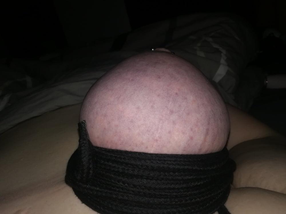 7P Bound Tits 2