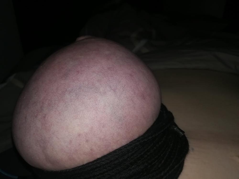7P Bound Tits 2