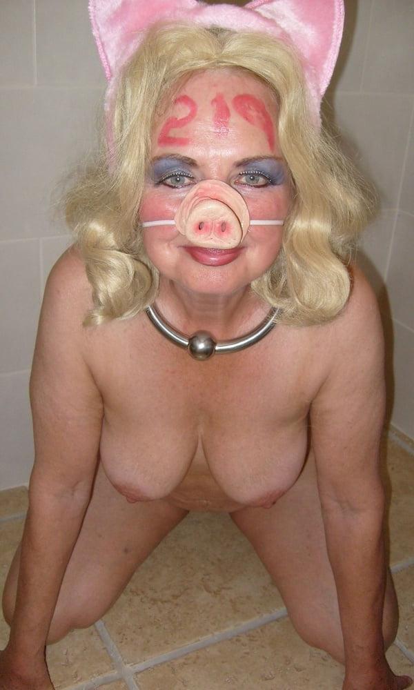 14P Pig060