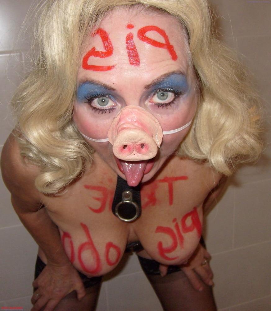 14P Pig060