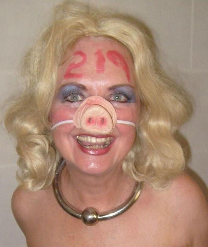 14P Pig060