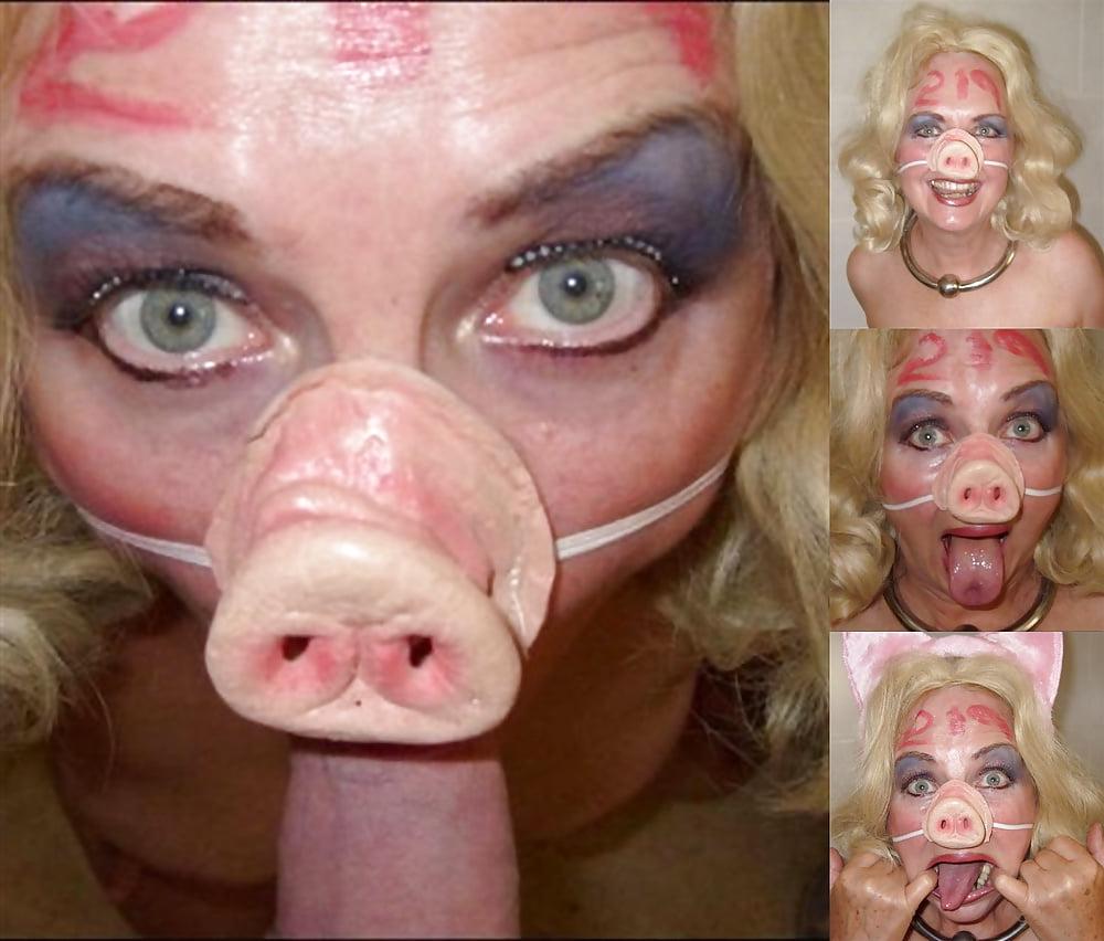 14P Pig060