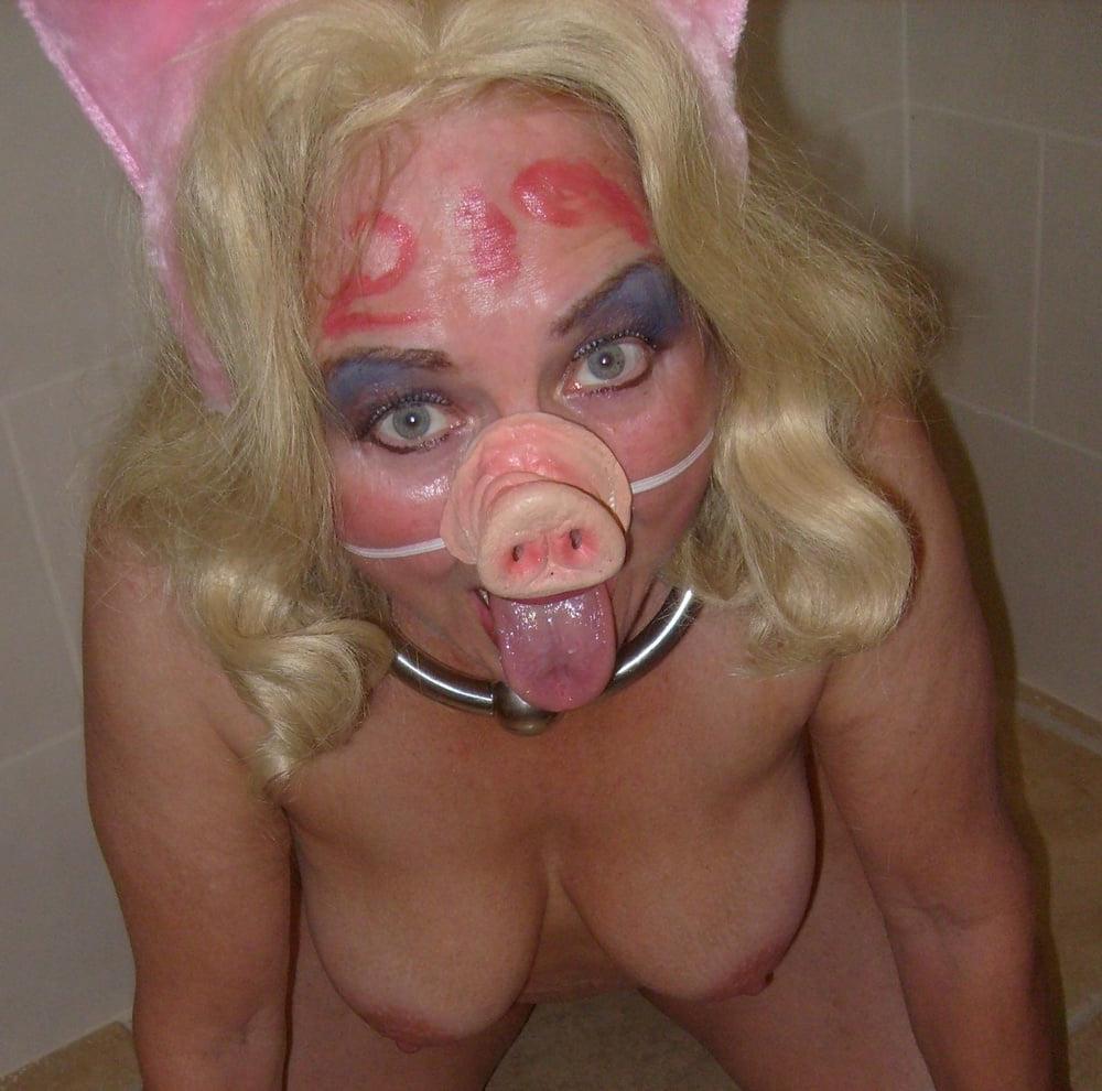 14P Pig060