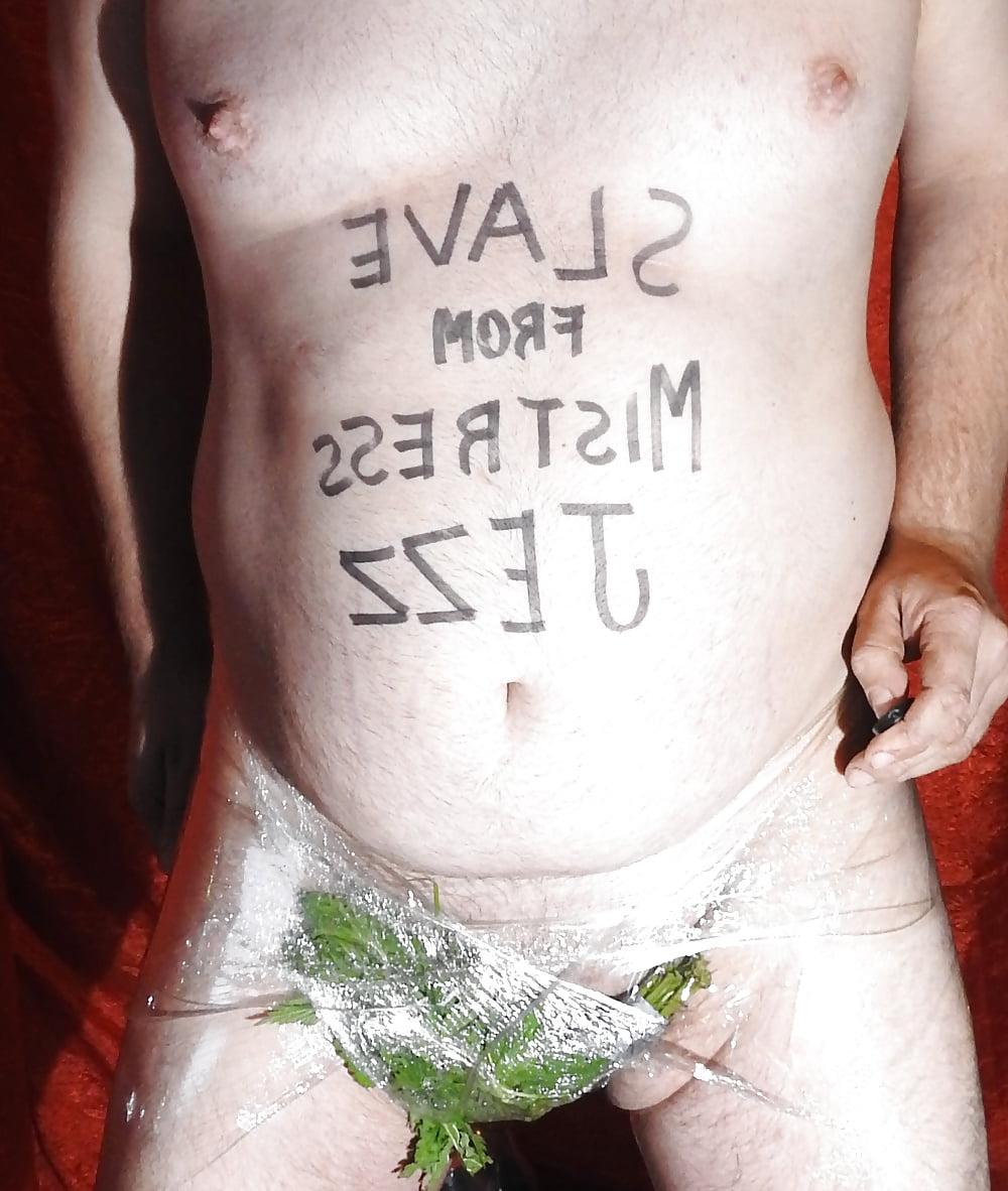 4P Task5 - nettles around the balls and cock