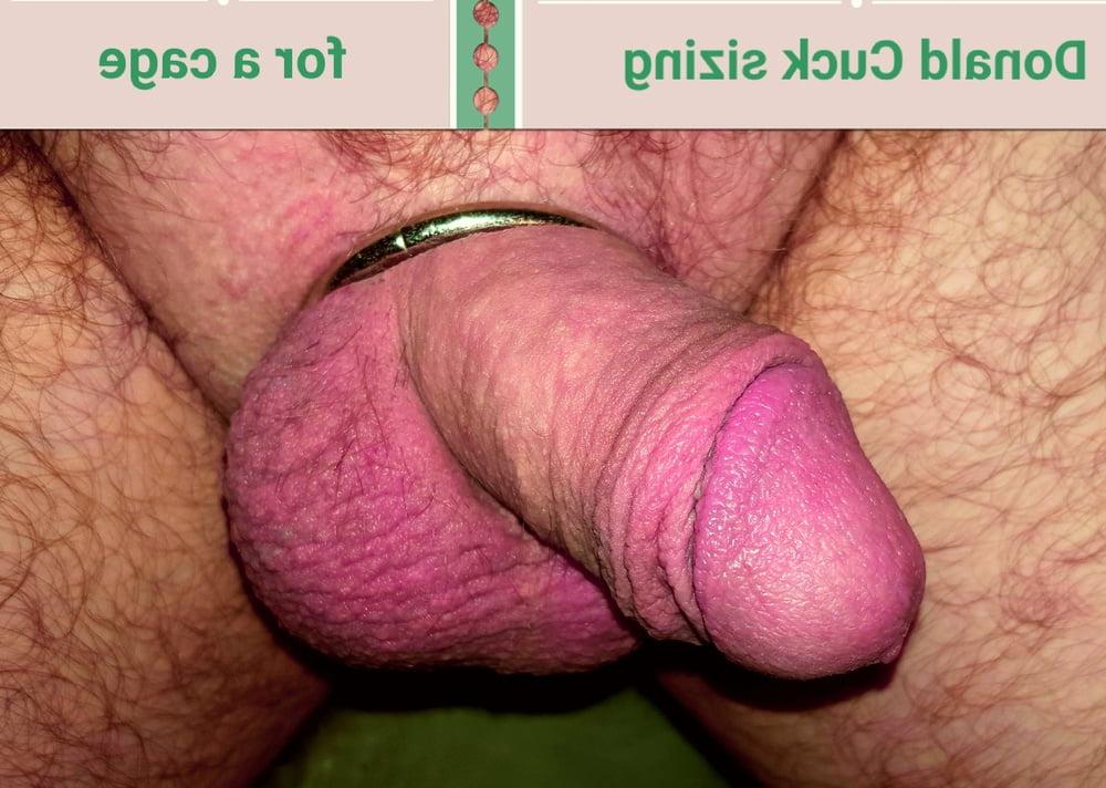 14P Oct &amp; Nov 8, 19 AGNESS CUCKOLD