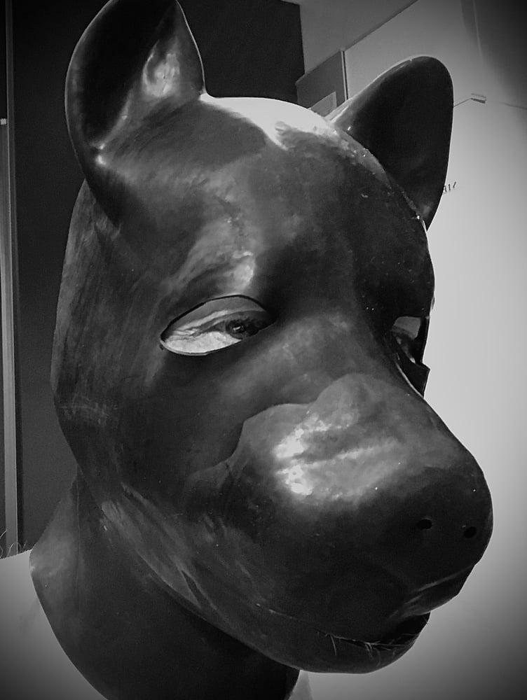 12P Dog