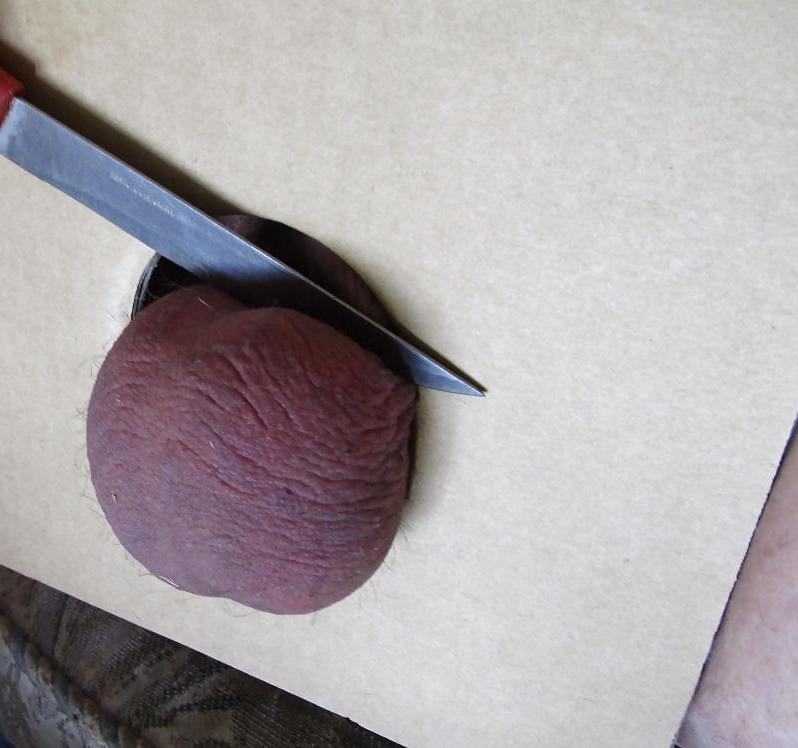 6P COCKS  BALLS  CBT