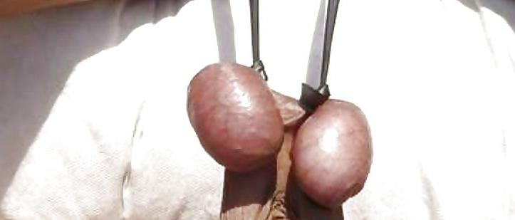 6P COCKS  BALLS  CBT