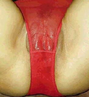 14P Creampie panties