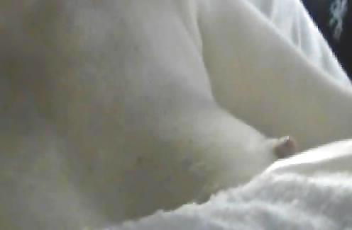 13P Small Tits with Big Nipples