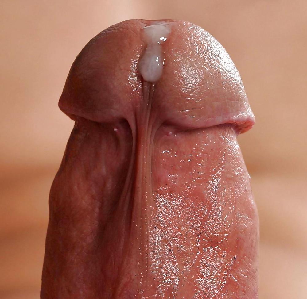 7P Cum covered cocks