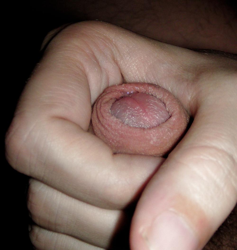 19P MY HAIRY COCK AND BALLS!