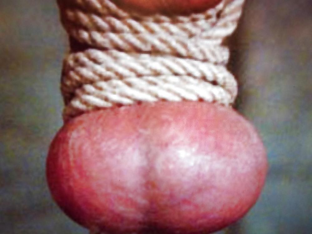 6P BALLS SPUNK STOCKINGS 