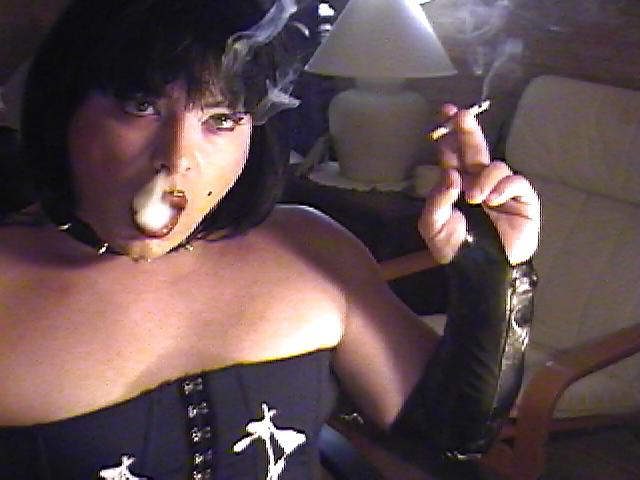 14P Intro Looks