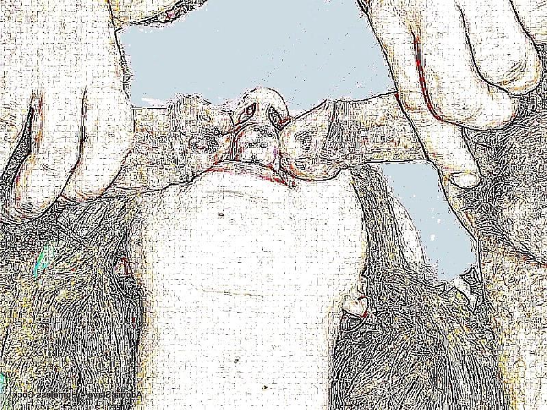 15P Adonia Slave, Humiliation, Gangbanged by Homeless Drawings,