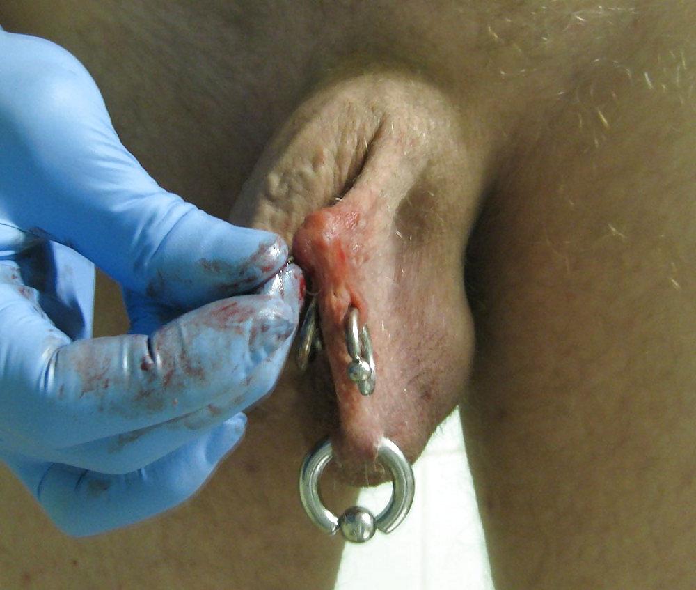 4P Putting new piercing to my balls.