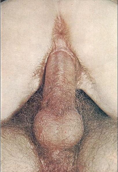 16P Vintage adult orgy