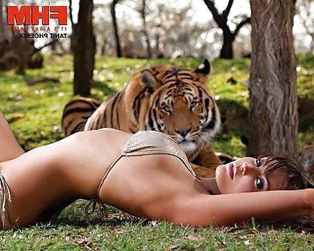 18P Tanit Phoenix