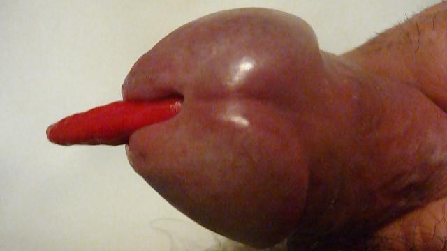 15P Vege insertion