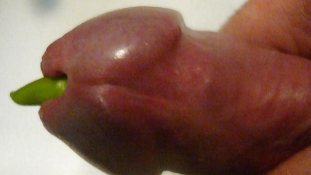 15P Vege insertion