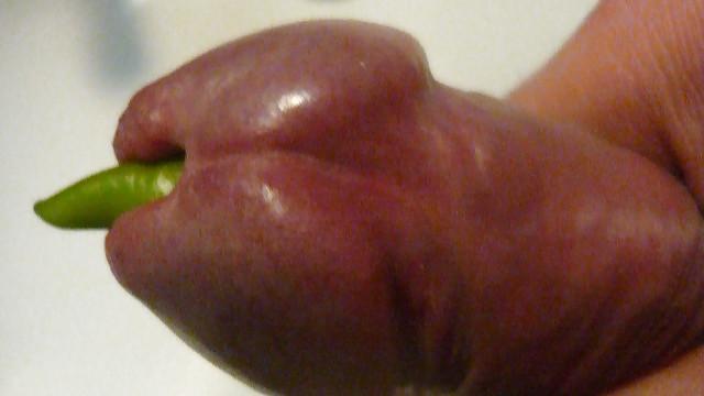 15P Vege insertion