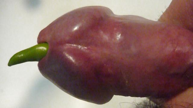 15P Vege insertion