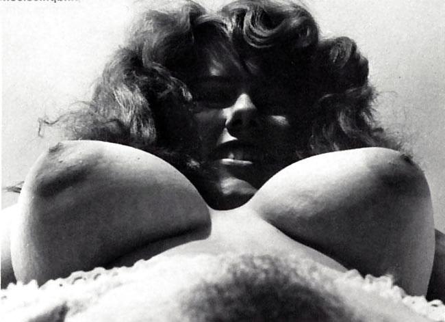 25P Busty Hairy Vintage upshots