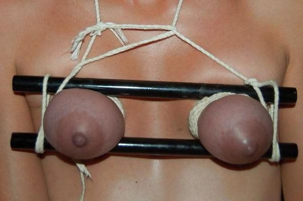 19P Tit bound chick