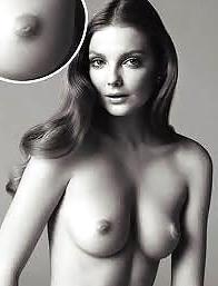 25P FABULOUS PUFFY NIPPLES Vol.4 -L1390-