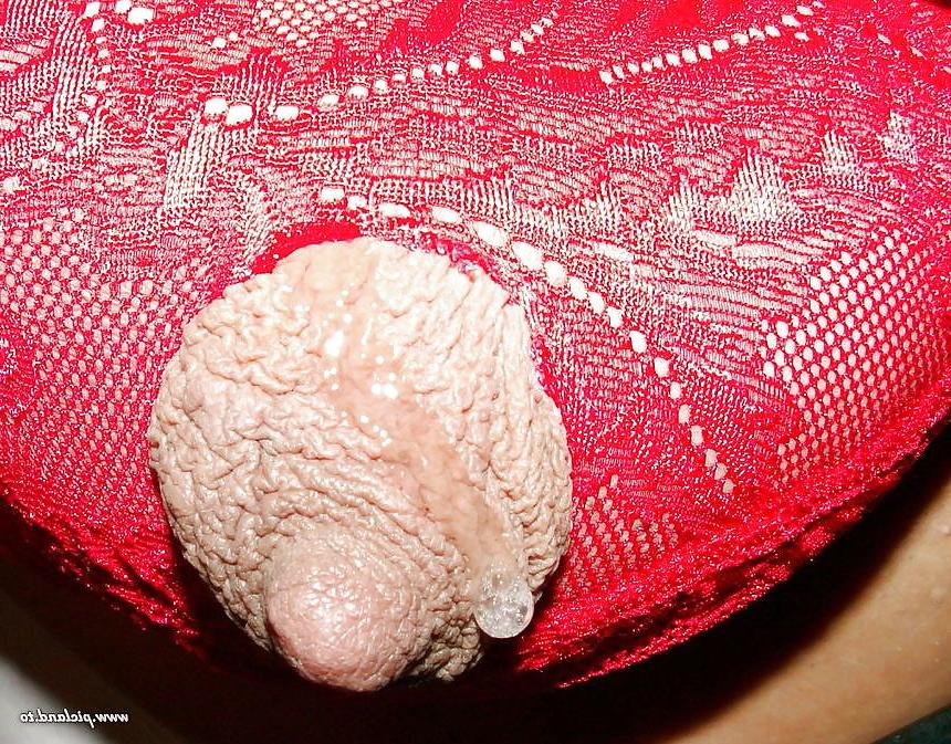19P Mature-BBW-Ladies 314
