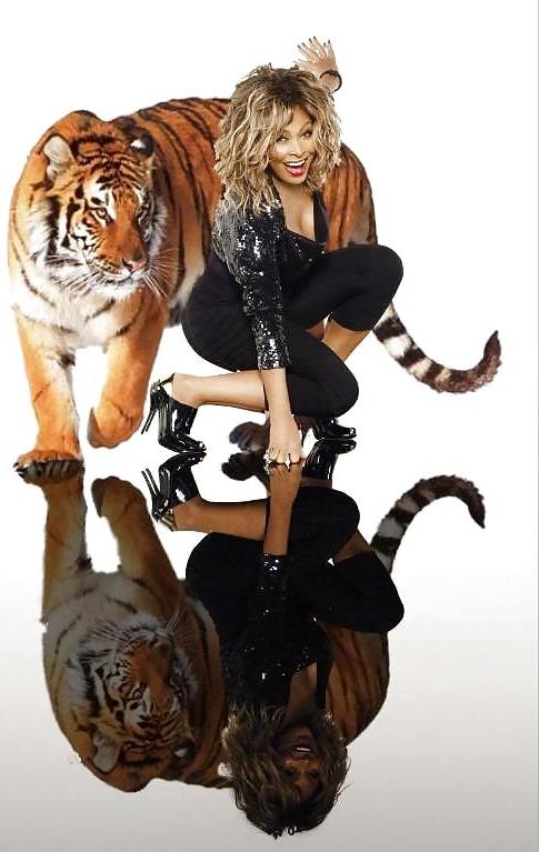 25P Tina Turner III