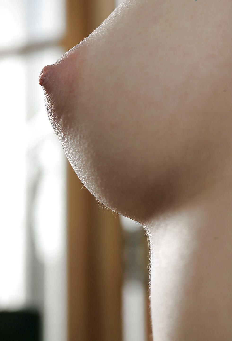 25P Nipples, Teats, Brustwarzen, Nippel, Zitzen III
