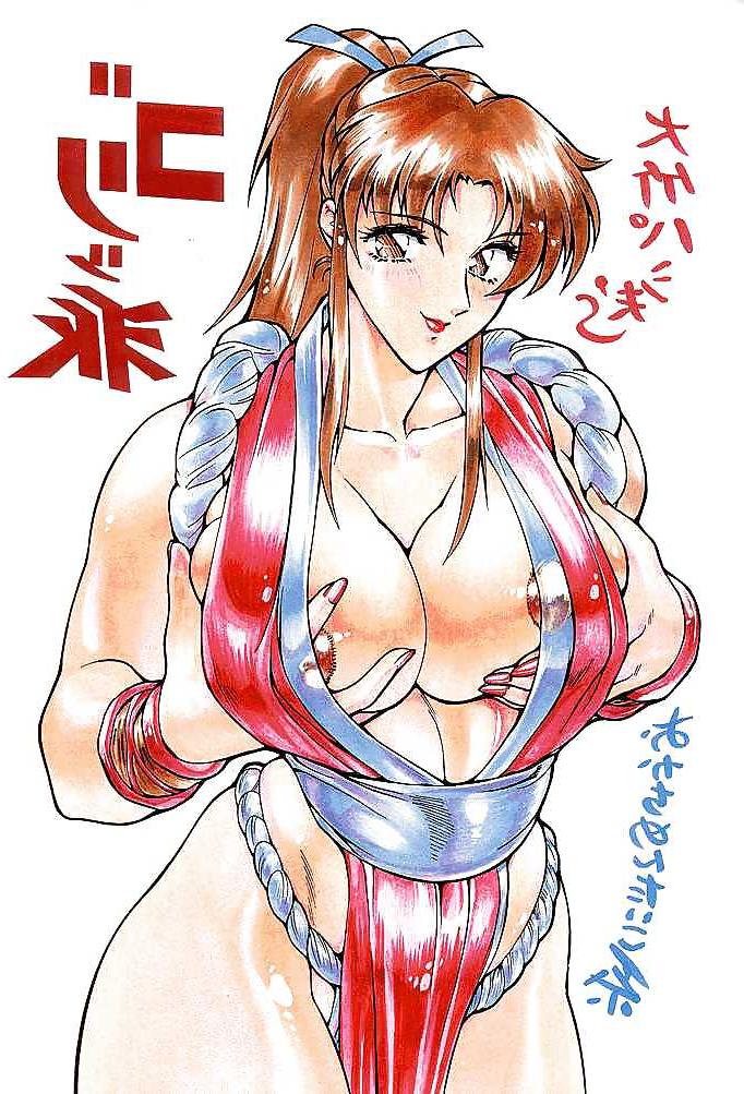 25P Mai Shiranui ( Fatal Fury & King Of Fighters)