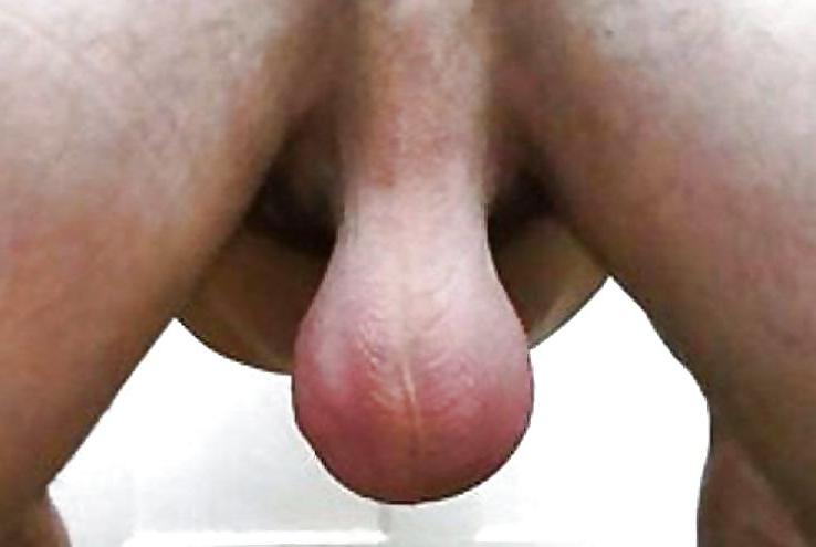 8P BIG BALLS COCK