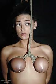 11P Bound tits