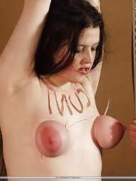 11P Bound tits