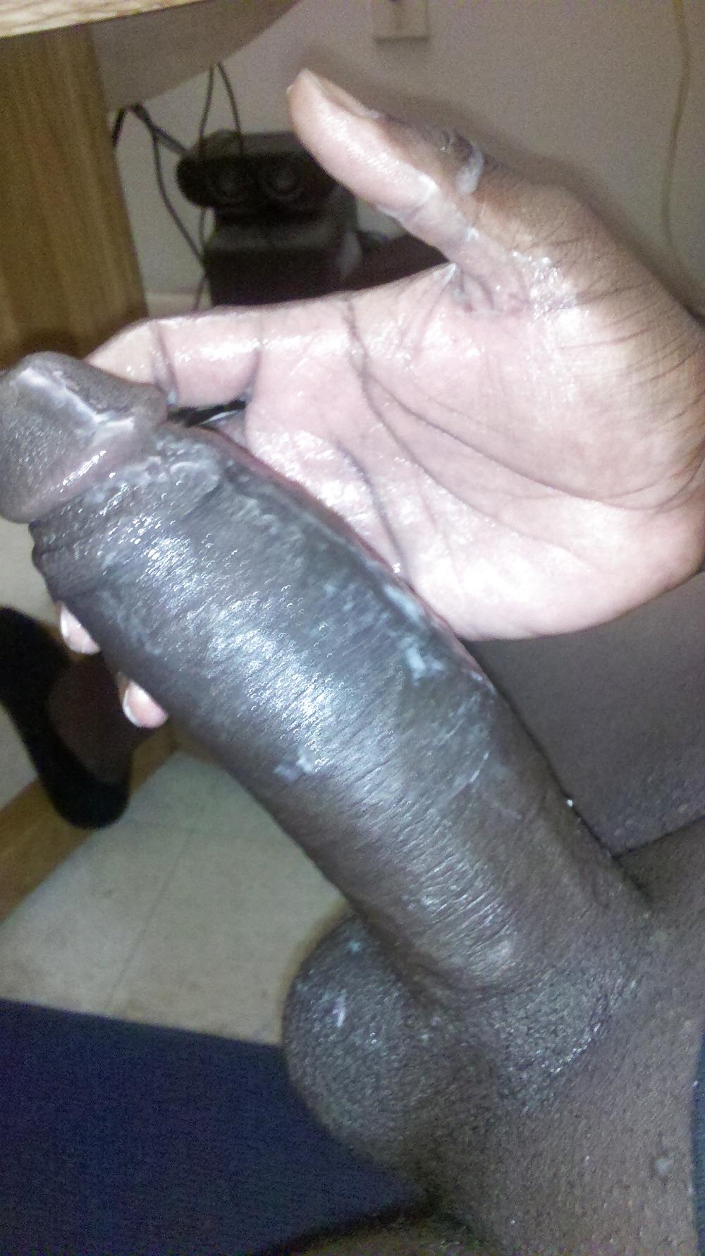 21P Norviews Extreme Nut