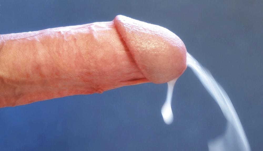 25P Shemales, Sissy and Faggot & Cuckold Stuff