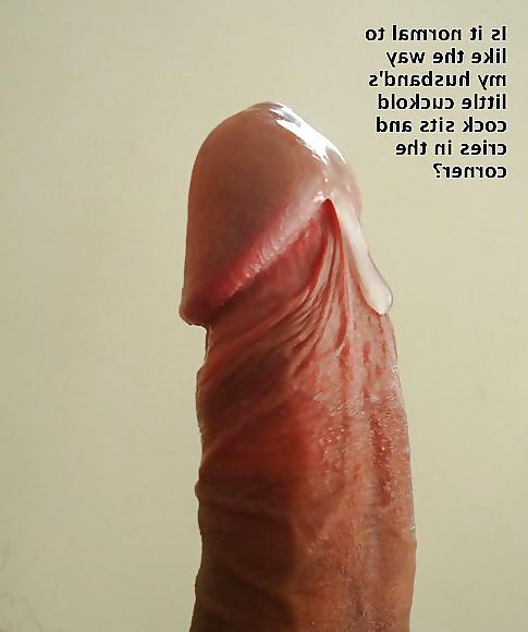 25P What cuckold husband needs and loves?