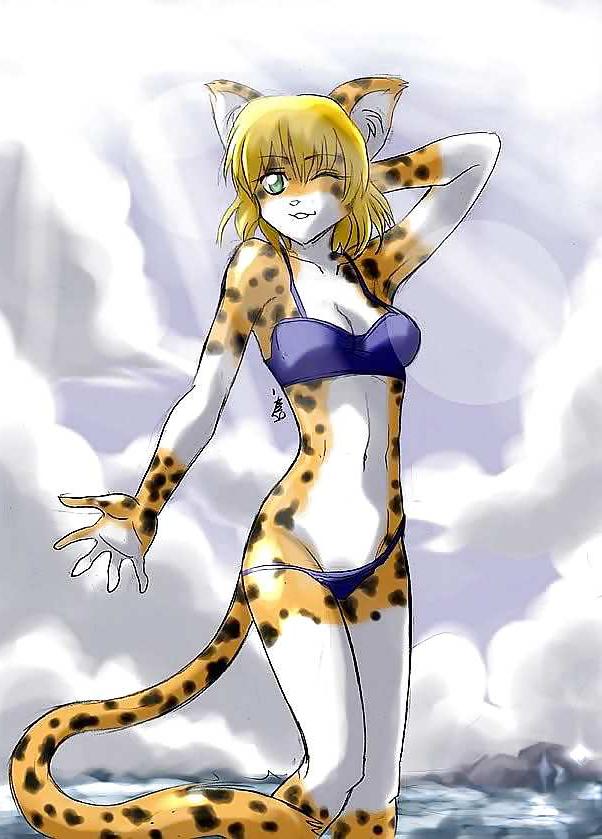25P Exotic Furry Catgirls