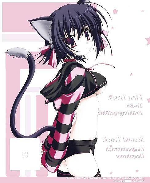 25P Exotic Furry Catgirls