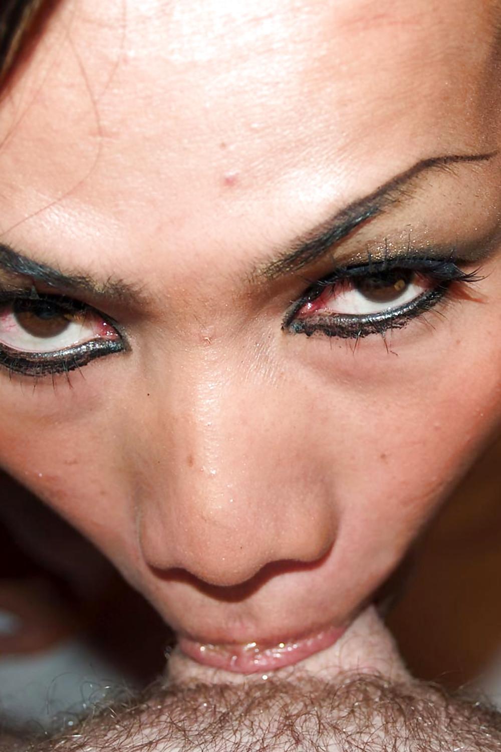 20P Exotic Eyes Tranny