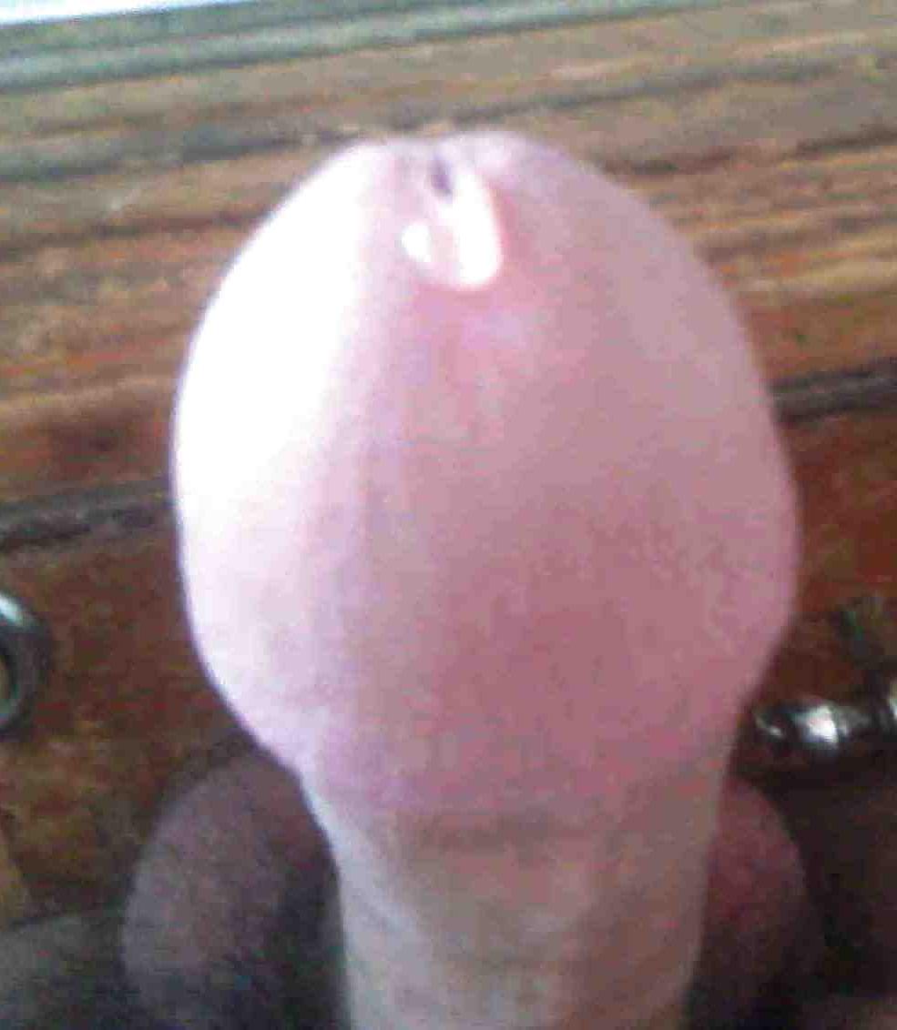 14P My pre cum dick ,  write me your comments !