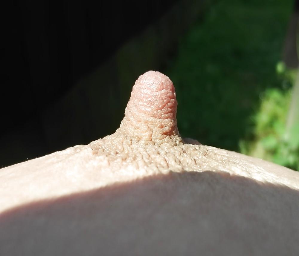 23P Nipples