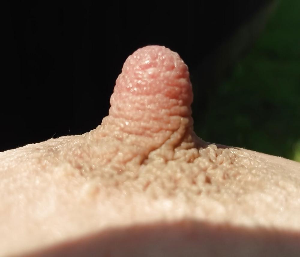 23P Nipples