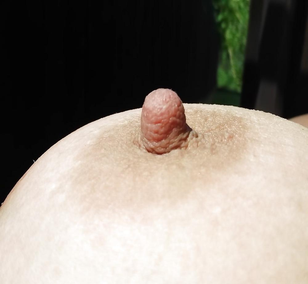 23P Nipples